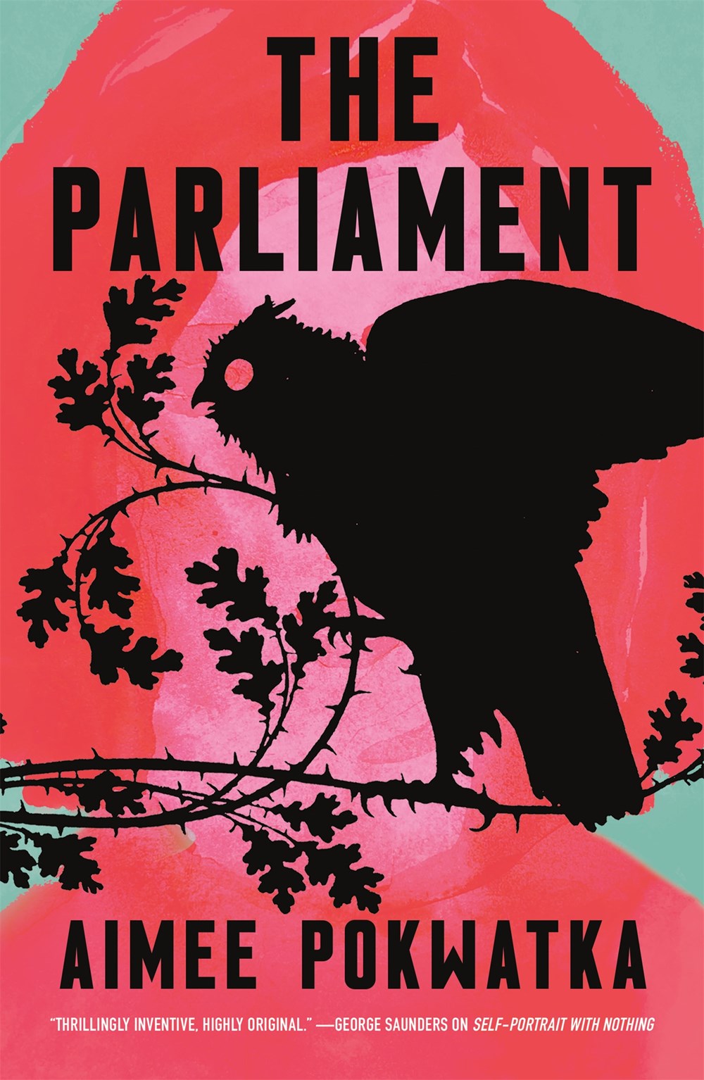 Aimee Pokwatka: The Parliament